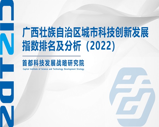 白虎骚BAV【成果发布】广西壮族自治区城市科技创新发展指数排名及分析（2022）